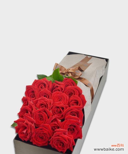 纯真、深情、痴迷、忠诚、真爱……21朵玫瑰花传递的情感 21朵玫瑰花的花语