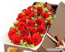 深入解读每一枝花的寓意 24朵玫瑰的含义与象征