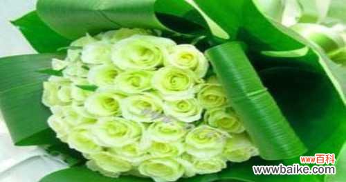 传递真挚情感,解读花海语言 23朵玫瑰花语