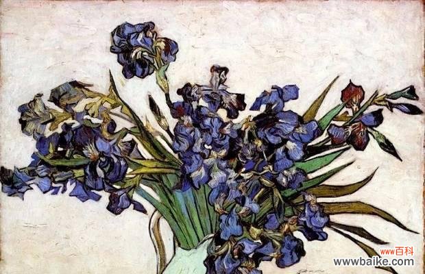 法兰西的象征花有哪些?它们如何代表法国?