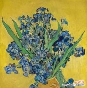 法兰西的象征花有哪些？它们如何代表法国？