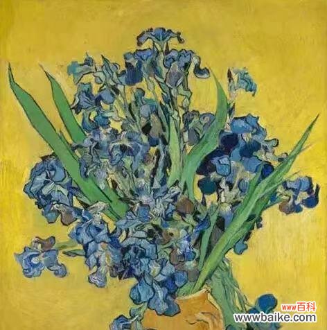 法兰西的象征花有哪些?它们如何代表法国?