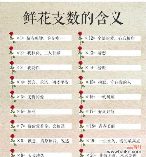 19朵花的花语是什么意思？19朵花代表了什么意义？