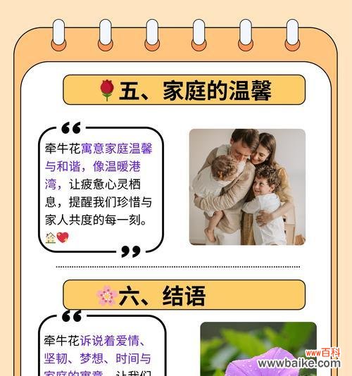 象征家庭和温馨的花是什么?其花语有哪些?
