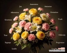 11朵花代表什么含义？12朵花的花语是什么？