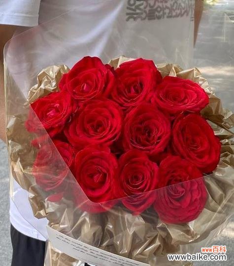 做象征的花有哪些？如何选择合适的象征花卉？