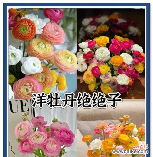 铃南花的寓意是什么？铃南花象征着什么？