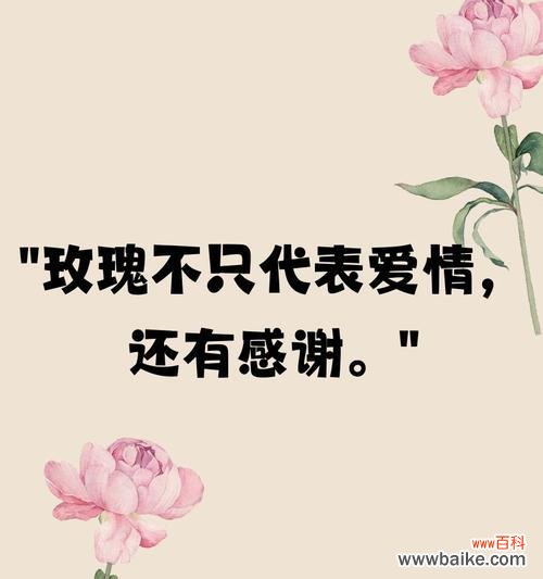 花语代表爱的花有哪些？