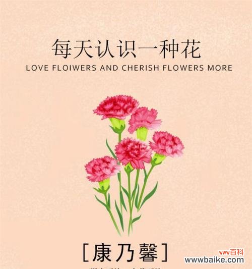 含义最丰富的花及其深意花语是什么？