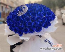 探寻蓝色妖姬花语的深意 蓝色妖姬花语