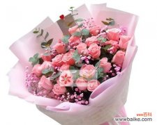 探索8朵粉玫瑰的花语之美 粉玫瑰的花语与寓意