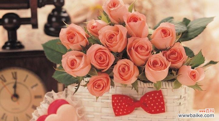 探寻8朵粉玫瑰花的深刻含义 粉玫瑰花的美丽传情之旅