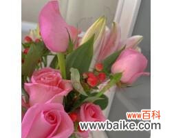 探寻8朵粉玫瑰花的深刻含义 粉玫瑰花的美丽传情之旅