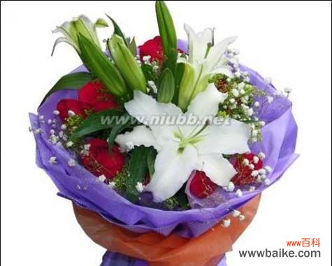 探寻8朵粉玫瑰花的深刻含义 粉玫瑰花的美丽传情之旅