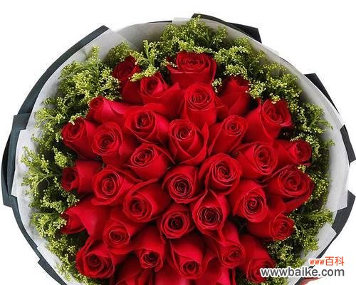 传递浓浓爱意，表达深深情感 99朵玫瑰花的含义