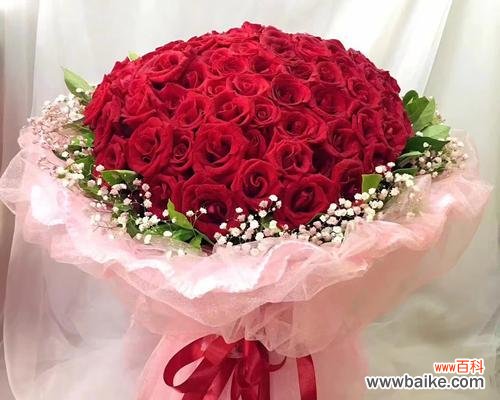 以8朵红玫瑰花代表意思的探讨 红玫瑰花的象征意义及文化传承