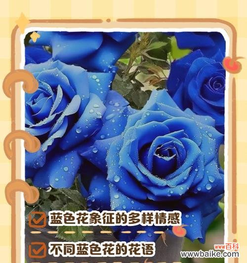 妖姬花语是什么意思?妖姬花代表了哪些含义?