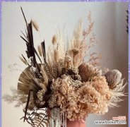 永生花代表的永恒情感是什么？