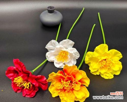 永生花代表的永恒情感是什么?