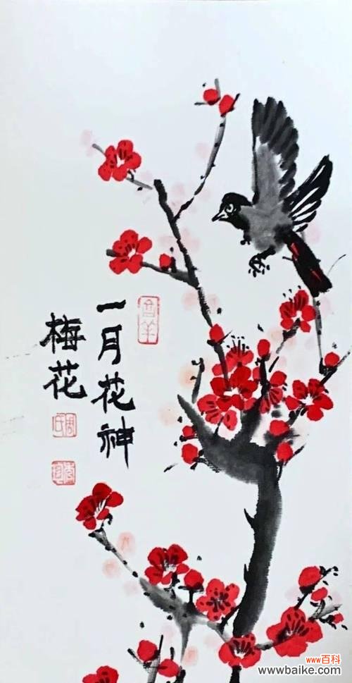 国画花的寓意是什么?它象征着什么?