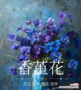 哪些花寓意思念之情？