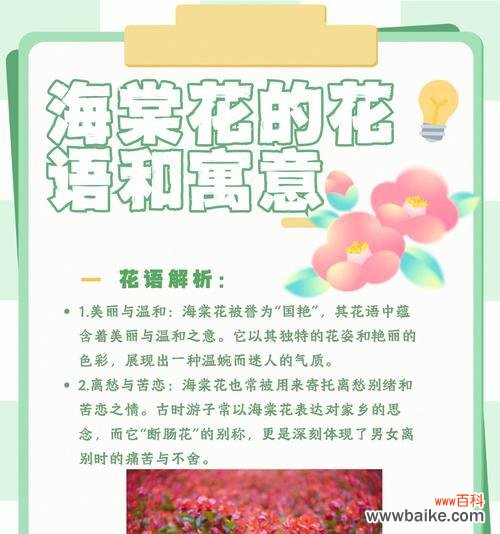 哪些花寓意思念之情？