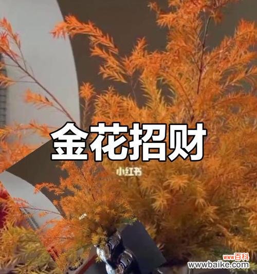 财富和好运的花卉象征是什么？选择带来财富的花
