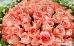 深情厚意，沉浸在玫瑰花的芬芳中 99朵玫瑰花的花语