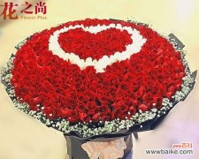 解读九朵玫瑰花所象征的含义及寓意 九朵玫瑰花的代表意思