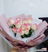 一朵爱莎玫瑰花背后的15个寓意 爱莎玫瑰花语与寓意