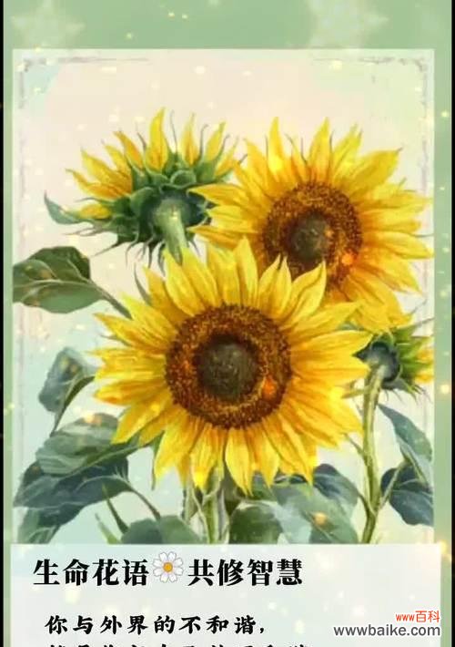 哪种花的花语与遗忘有关和代表遗忘的花卉花语是什么？