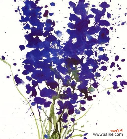 泼花这一行为的含义是什么？它在不同文化中的解释是什么？