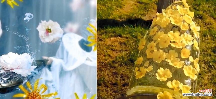 泼花这一行为的含义是什么？它在不同文化中的解释是什么？