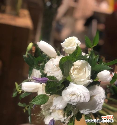 手腕花通常代表什么含义？这种装饰的象征意义有哪些？