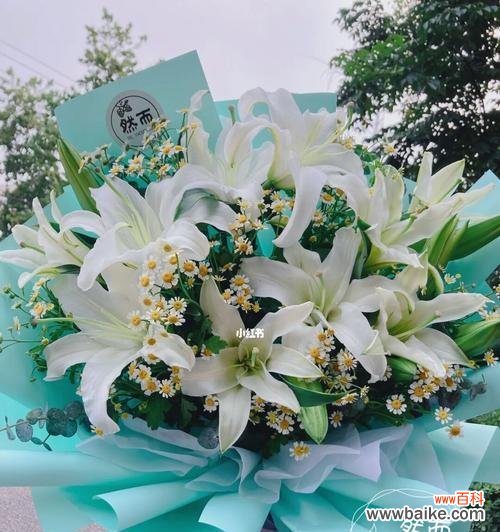 白百合花语的深层意义与人生启示 白百合花语之美——纯洁与宽容