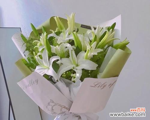 白百合花语的深层意义与人生启示 白百合花语之美——纯洁与宽容