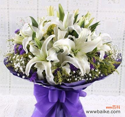 探索白百合花的美丽与哲学 白百合花的寓意及象征