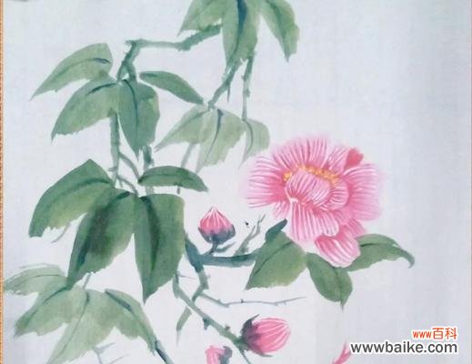 芙蓉花的含义是什么？芙蓉花在传统文学中的象征意义是什么？