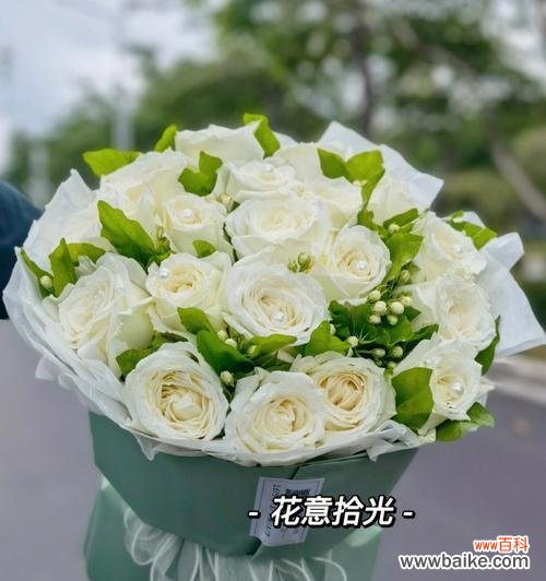 以白玫瑰代表的爱、纯洁和无声的情感 白玫瑰的美丽与象征