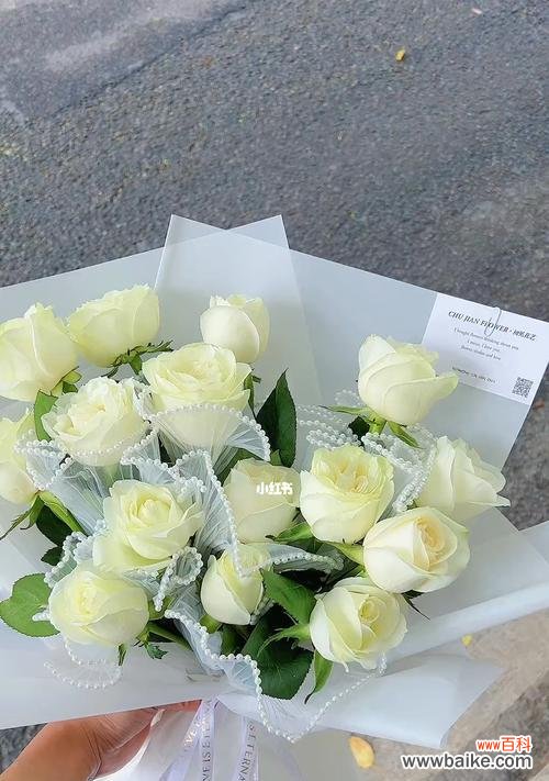 探索白玫瑰的深意与传承 白玫瑰的含义及象征