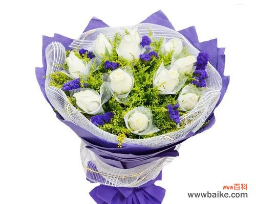 探索白玫瑰的深意与传承 白玫瑰的含义及象征