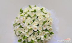 纯洁、神秘与悲伤 白玫瑰的寓意与象征