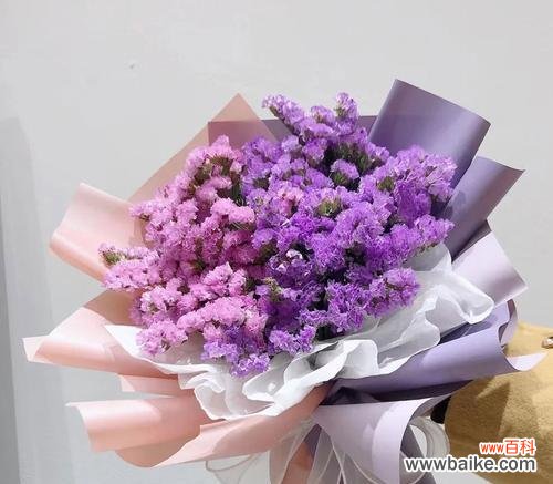 勿忘花颜色的含义是什么?