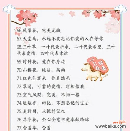 送恋人花有哪些寓意和花语?它们如何表达爱意?