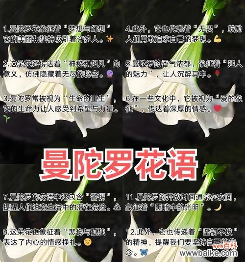 生日花卉的花语含义是什么？如何选择生日花卉？