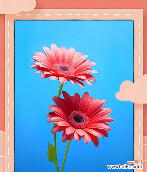 哪种花的花语代表等待?等待的花语有哪些?