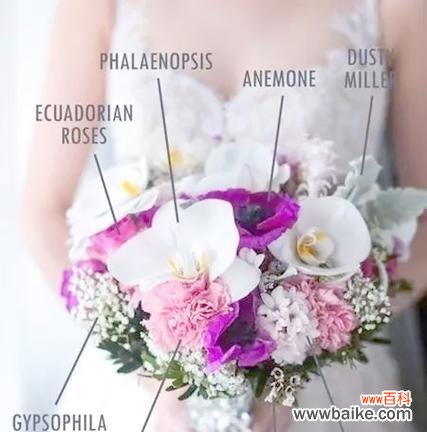 手捧花的寓意是什么？有哪些忌讳？