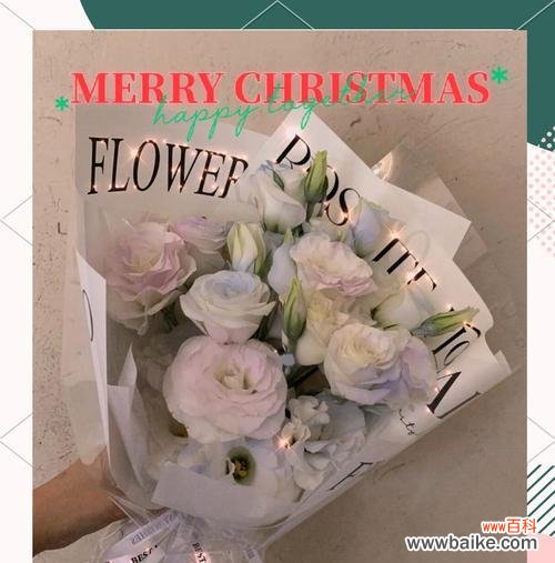 白色花象征幸福的有哪些？它们的寓意是什么？