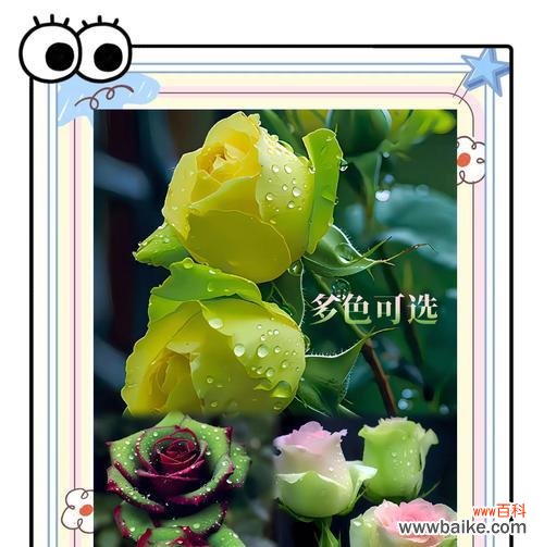 复古绿的花有何寓意?它们在装饰中有何特别之处?