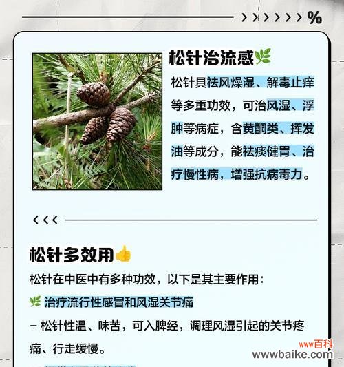 松针花的寓意有何深意？